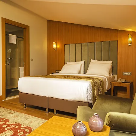 Hotel Acra Sultanahmet , Historic Peninsula, Special Category 3*