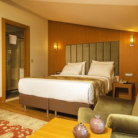 Hotel Acra - Special Category Istambul